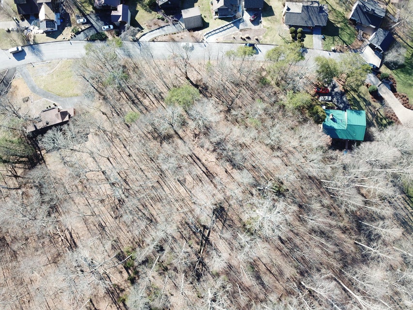 Photo #11: Lot 9 Lakeshore Road