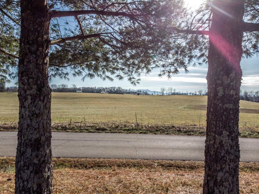 Photo #48: 0 Green Lawn Avenue
