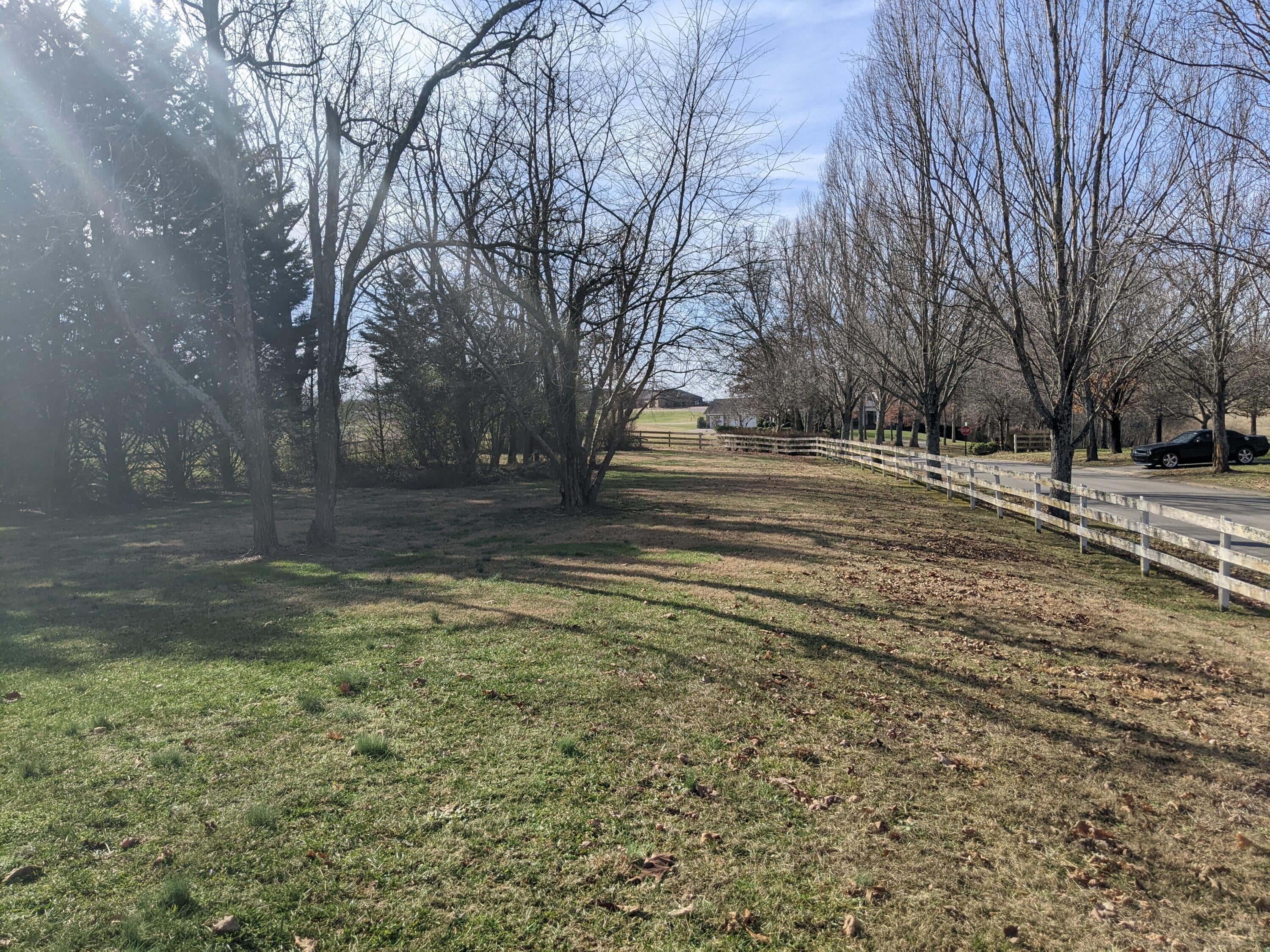 Photo #6: 104 Lexington Court