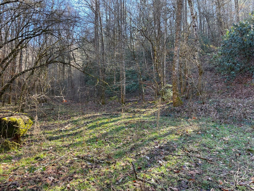 Photo #14: 1312 Old 15th Road