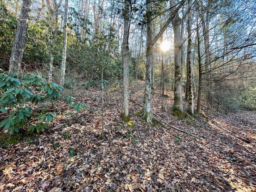 Photo #17: 1312 Old 15th Road