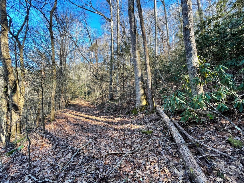 Photo #18: 1312 Old 15th Road