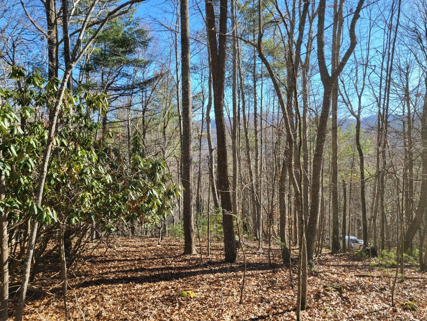 Photo #29: Tbd Big Dry Run Road