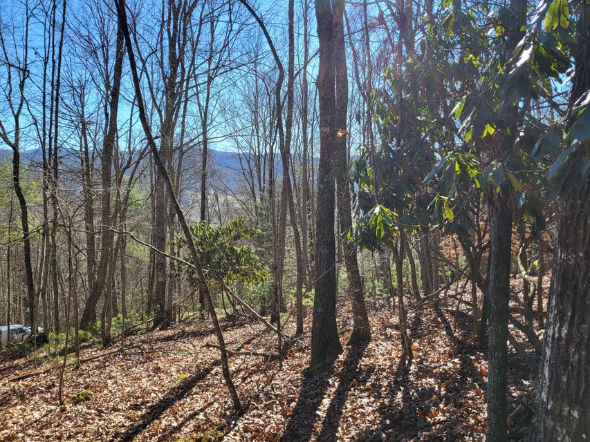 Photo #30: Tbd Big Dry Run Road