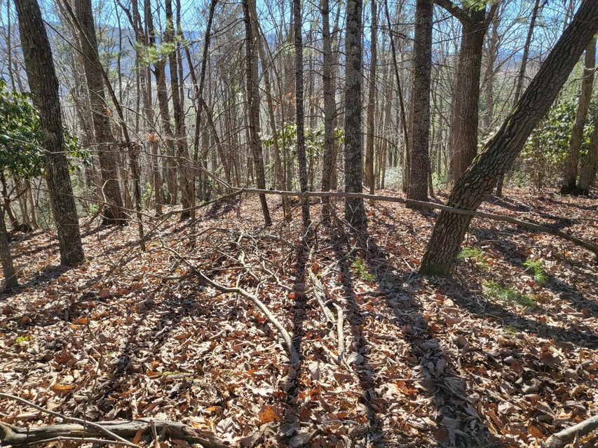 Photo #33: Tbd Big Dry Run Road