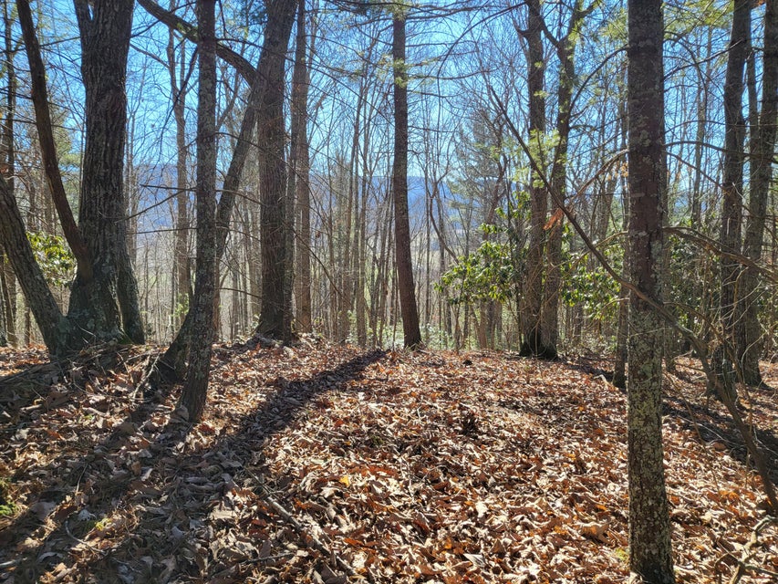 Photo #36: Tbd Big Dry Run Road
