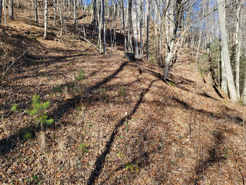 Photo #42: Tbd Big Dry Run Road