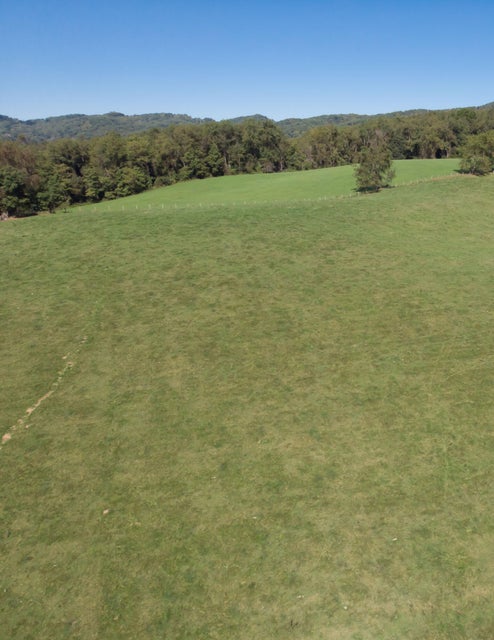 Photo #11: Tbd Plum Creek Road