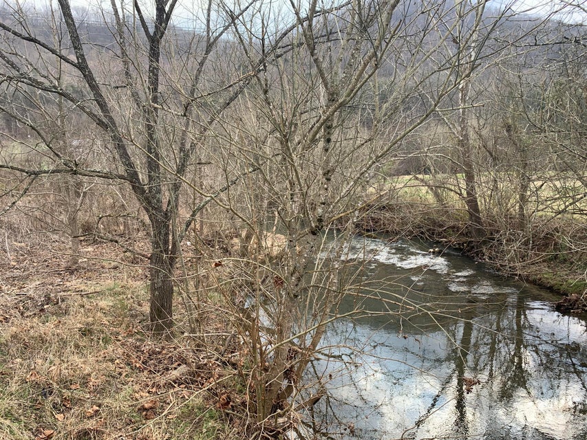 Photo #2: 0 Caney Creek Road