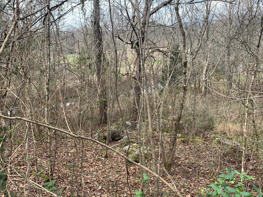 Photo #13: 0 Caney Creek Road