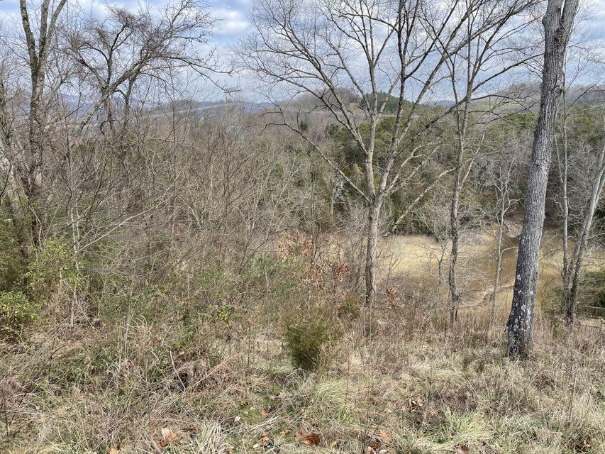Photo #6: 2054 Turners Landing Road