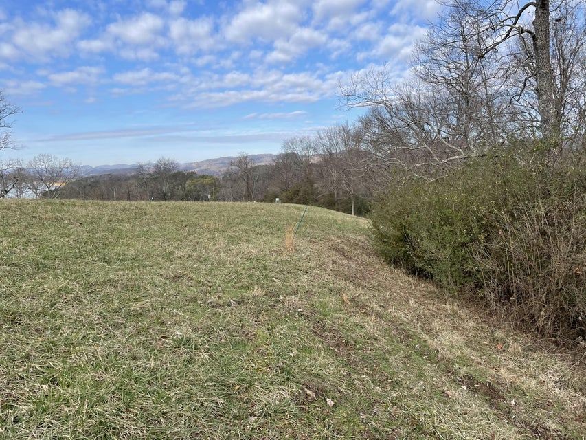Photo #7: 2054 Turners Landing Road