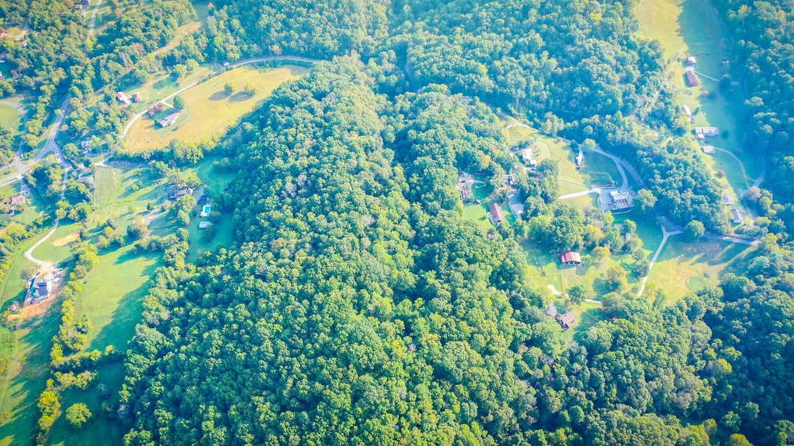 Photo #15: 635 Harbor Springs Road