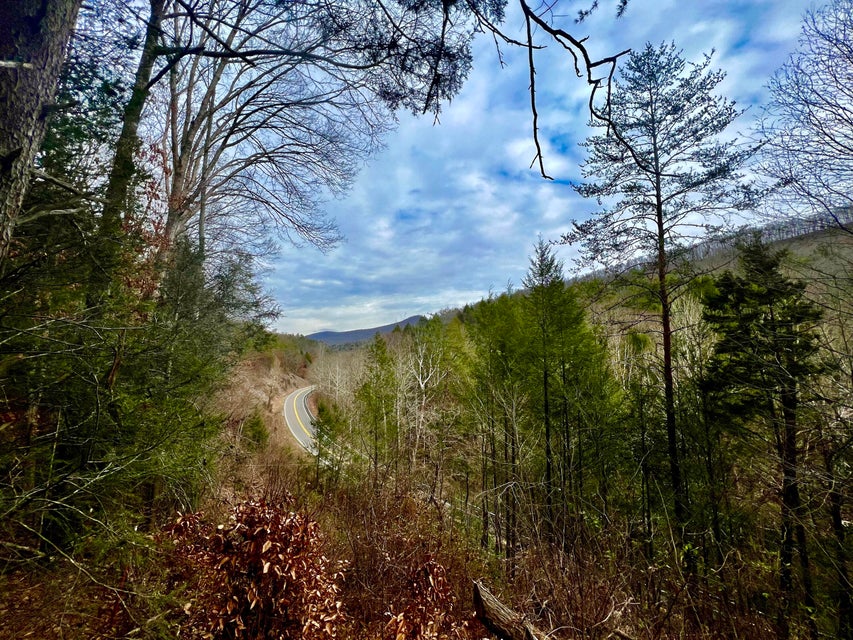 Photo #3: Hwy 347 Beech Crk Rd