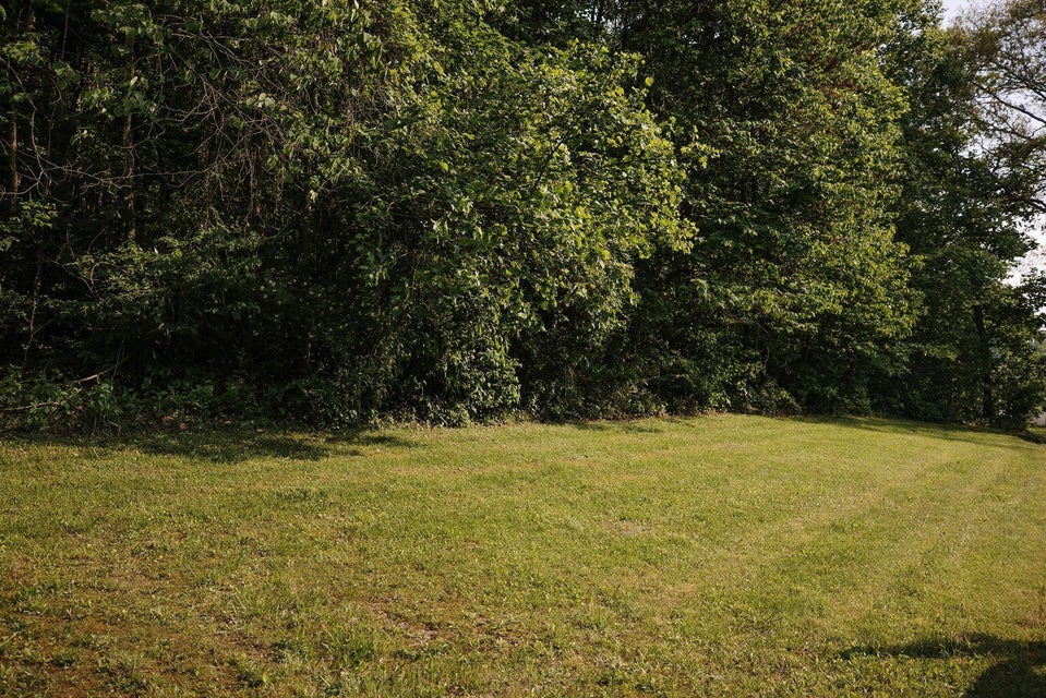 Photo #8: 365 Barrett Lane