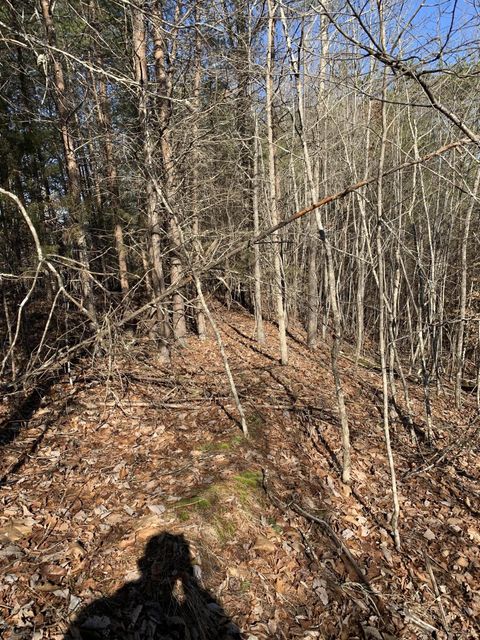 Photo #10: Lot 83 Ridgecrest Road