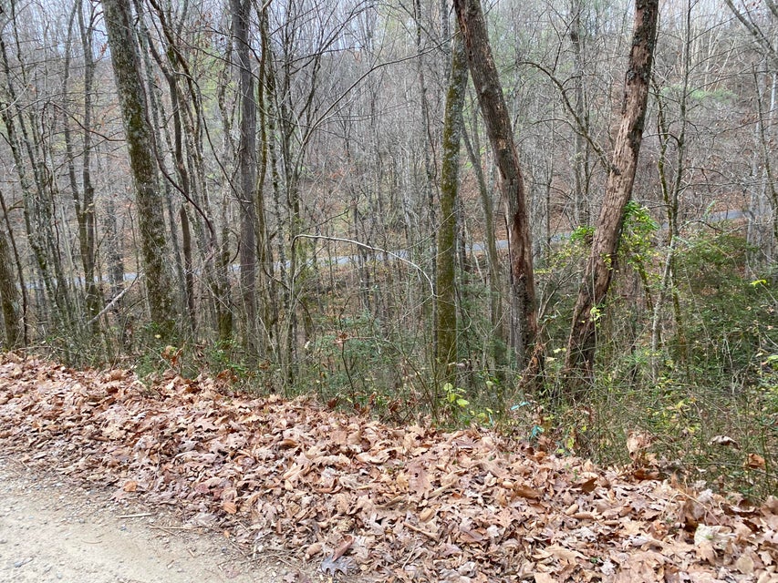 Photo #13: #0 Hide Away Drive