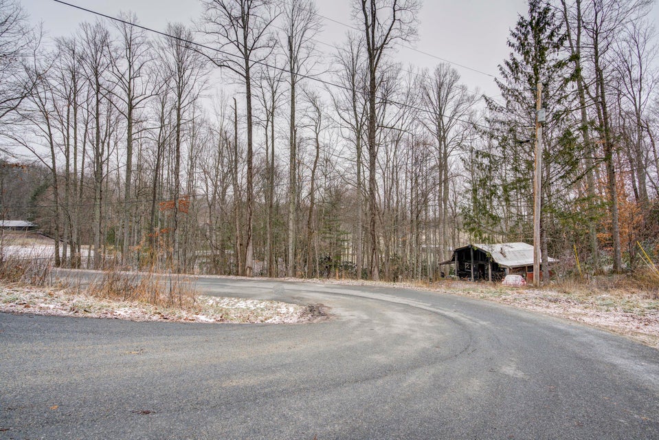 Photo #2: 287 Escape Mountain Road