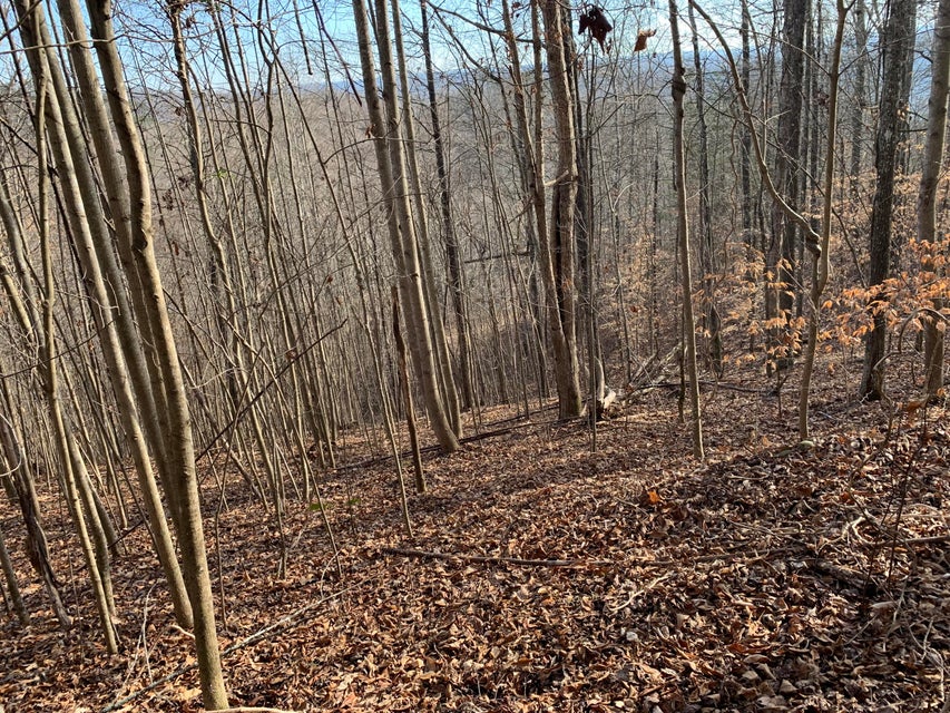 Photo #2: Lot 98 Chimney Rock Road