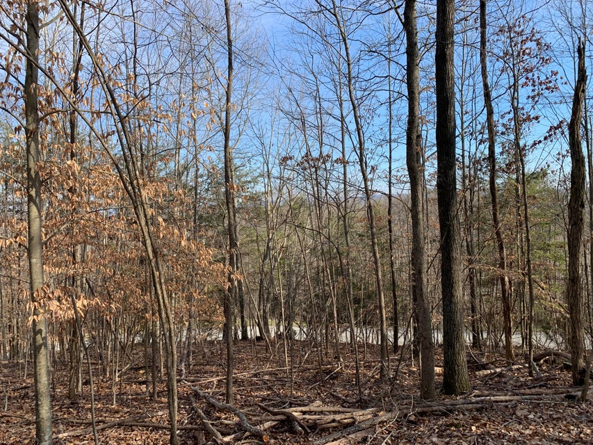 Photo #7: Lot 98 Chimney Rock Road