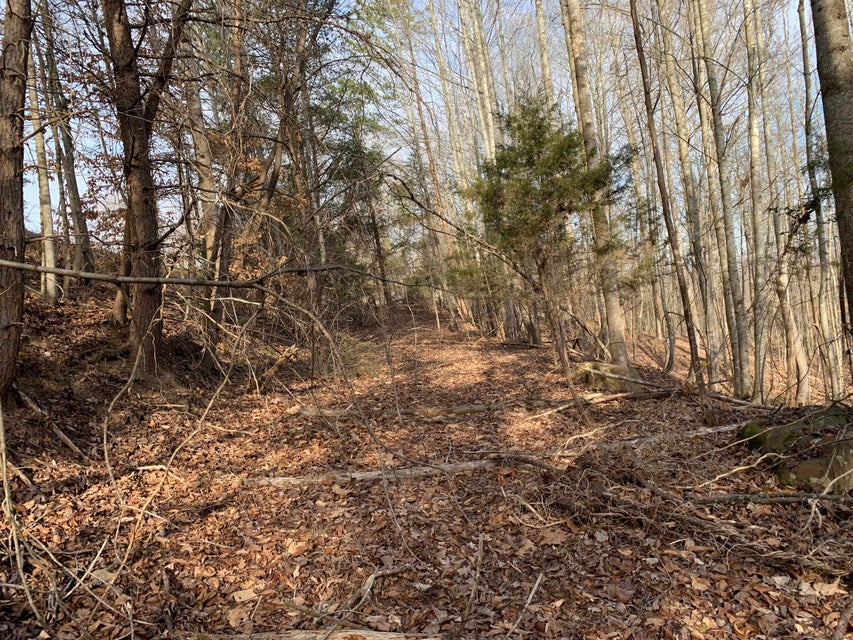 Photo #9: Lot 98 Chimney Rock Road