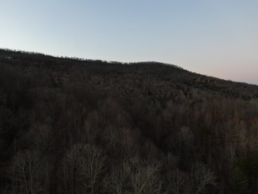 Photo #2: Lot 298 Bluff View Road