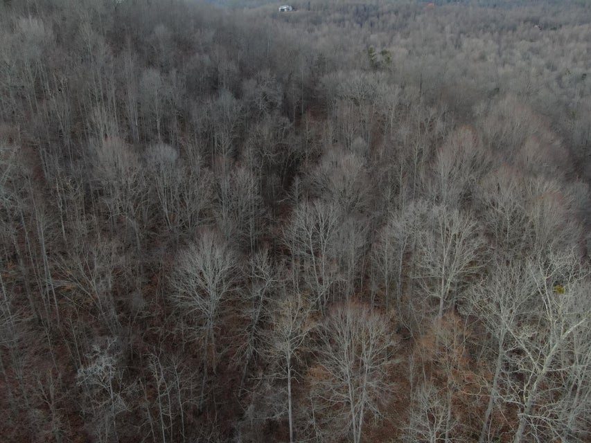 Photo #13: Lot 298 Bluff View Road