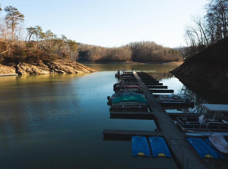 Photo #30: Lot 298 Bluff View Road
