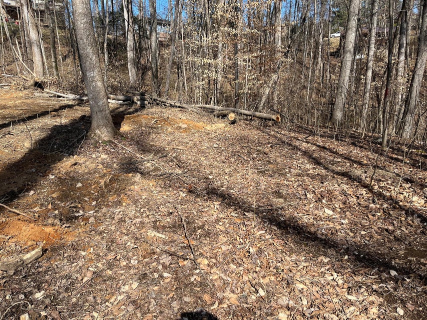 Photo #2: 00 Saratoga Circle Circle