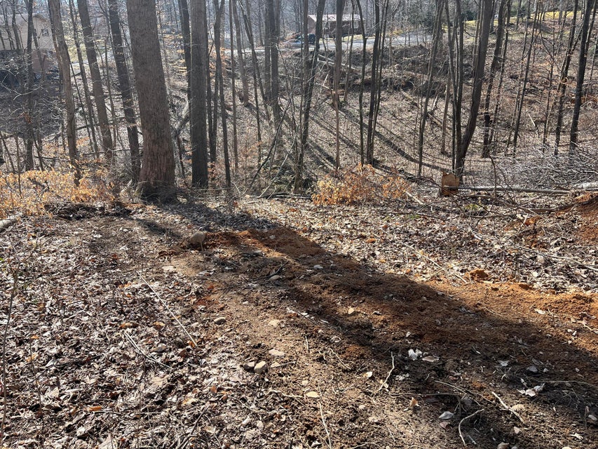 Photo #3: 00 Saratoga Circle Circle