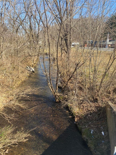Photo #10: Tr 1 King Springs Road
