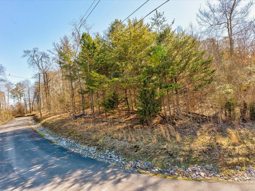Photo #7: 1609 Sequoyah Drive