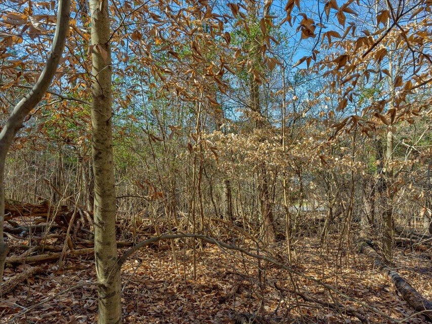 Photo #10: 1609 Sequoyah Drive