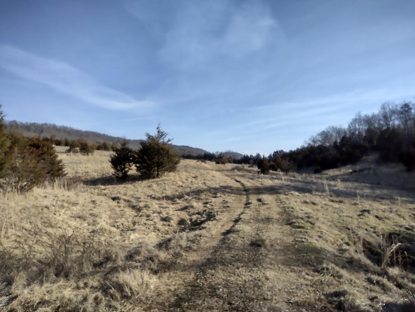 Photo #29: Tbd Guthries Greene Road