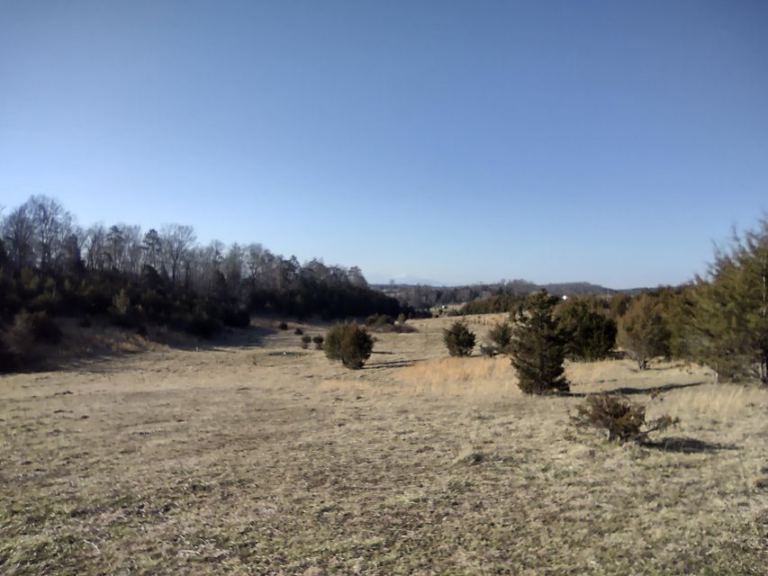 Photo #42: Tbd Guthries Greene Road