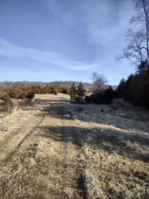 Photo #31: Tbd Guthries Greene Road