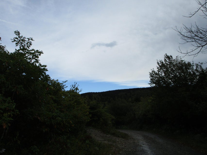 Photo #10: Lot 3 100 Wilderness Road