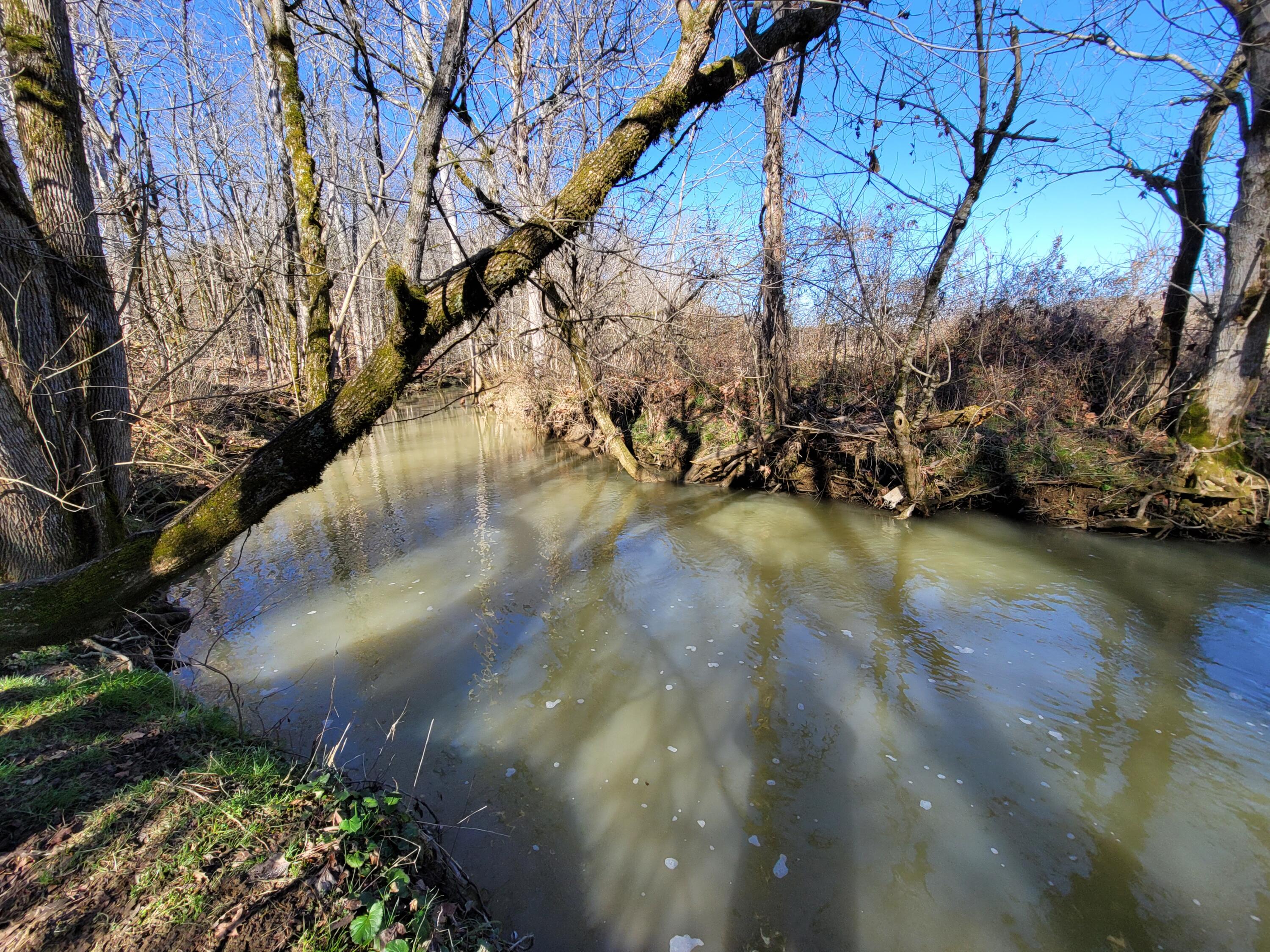 Photo #3: Lot 1 Baileyton Road