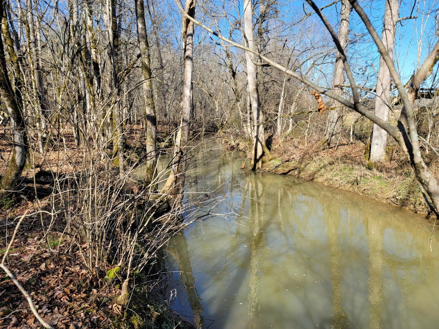 Photo #26: Lot 1 Baileyton Road