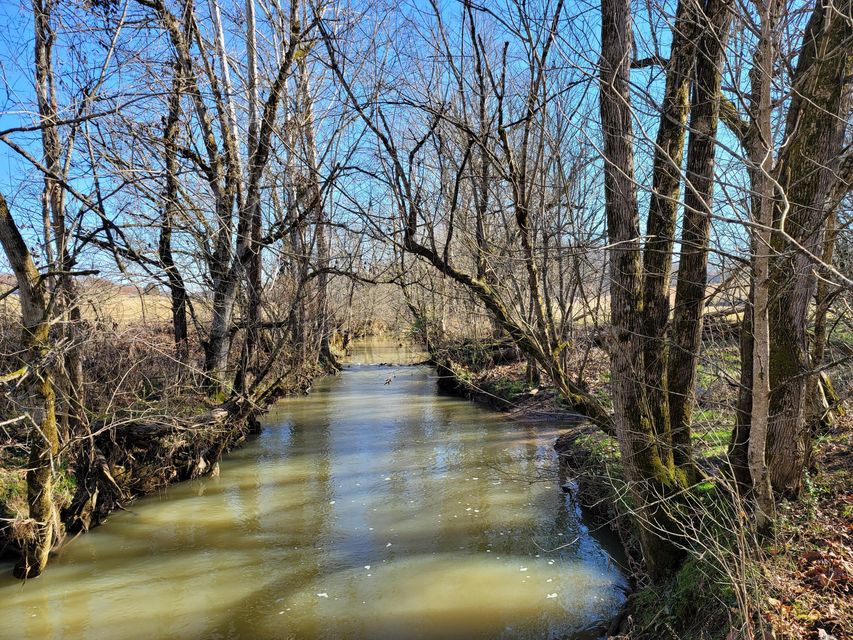Photo #25: Lot 1 Baileyton Road