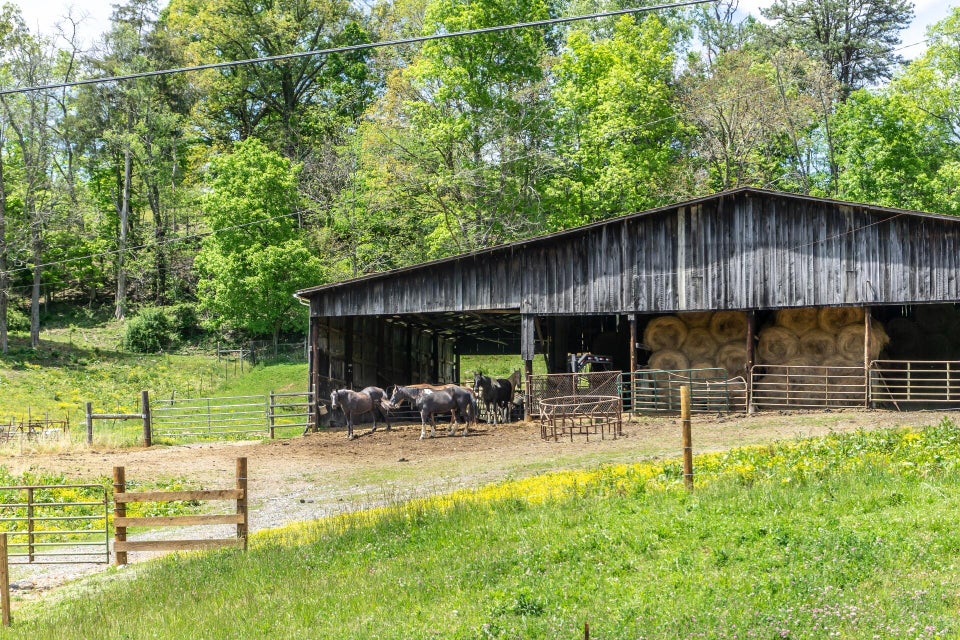 Photo #40: 889 Caney Valley Loop