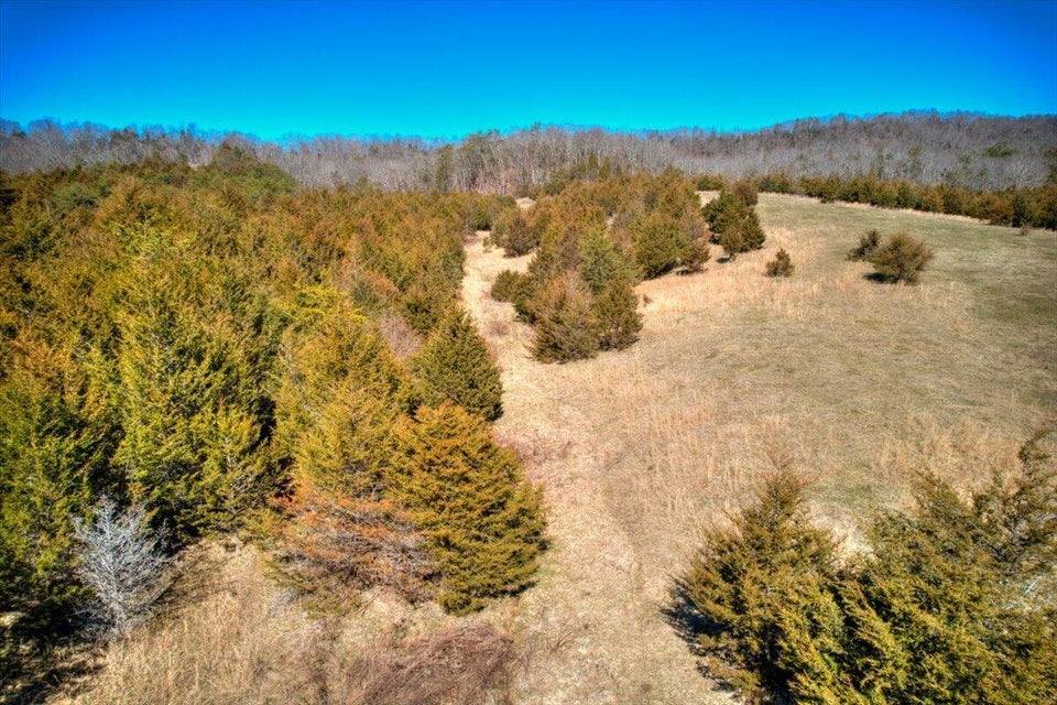 Photo #13: Tbd Guthries Greene Road