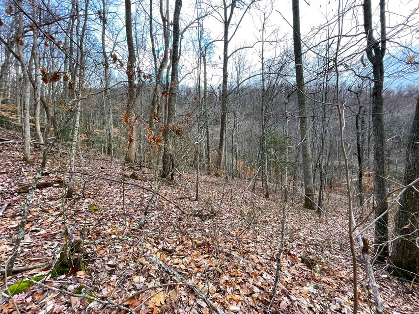 Photo #2: 4.5ac Green Forest Road