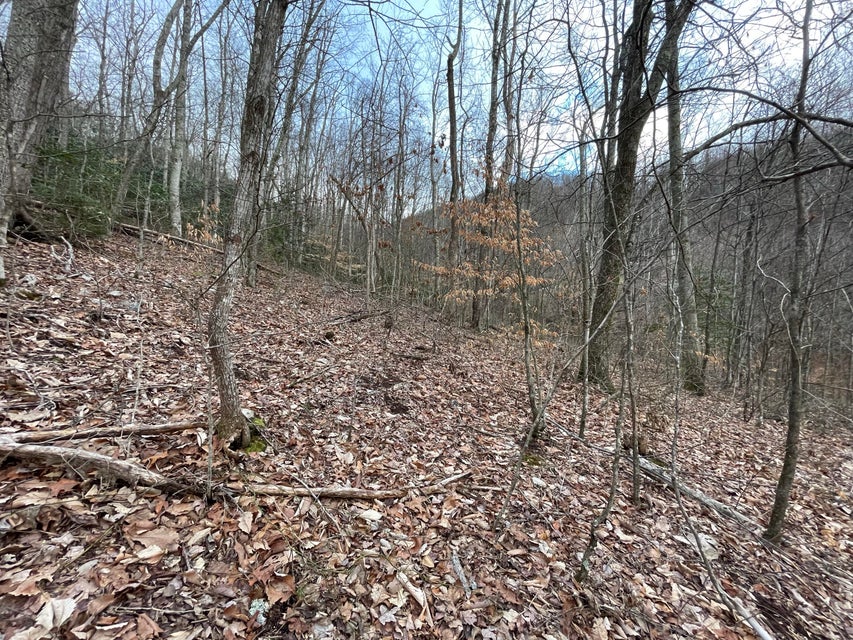 Photo #3: 4.5ac Green Forest Road
