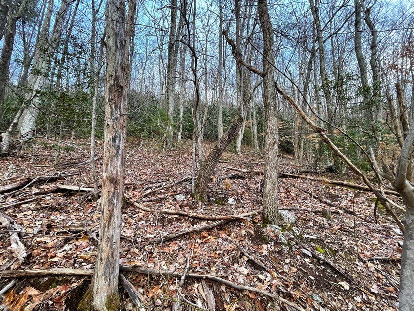 Photo #6: 4.5ac Green Forest Road