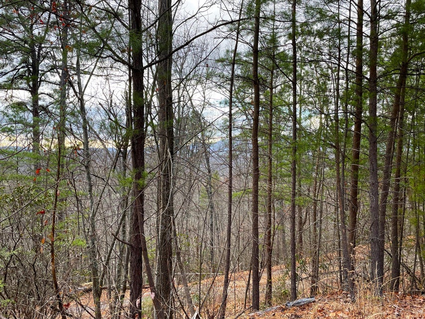 Photo #8: 4.5ac Green Forest Road
