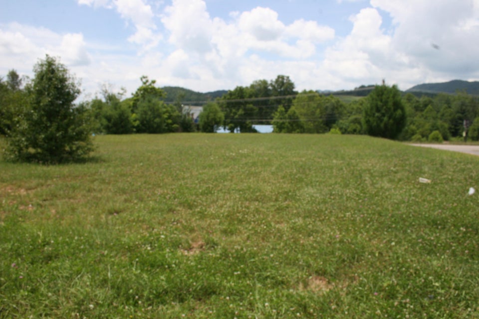 Photo #4: Tbd Shady Street