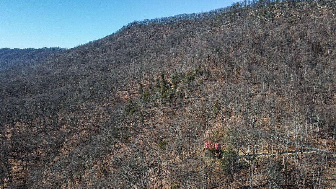 Photo #42: 491 Bays Mountain Trail