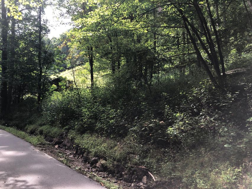 Photo #2: Tbd Ingram Branch