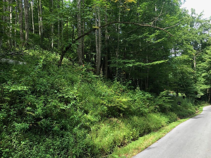 Photo #3: Tbd Ingram Branch